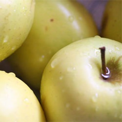 Applesauce - Recipe photo by licking my lips