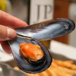 Moules a la Mariniere - Recipe photo by Moira