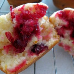 Cranberry Orange Muffins - Recipe photo by obsessedwithbaking