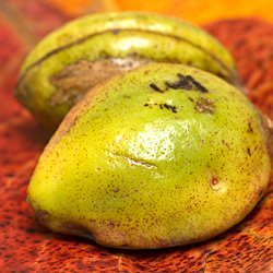 Caribbean Almonds - Recipe photo by Coffee and Vanilla