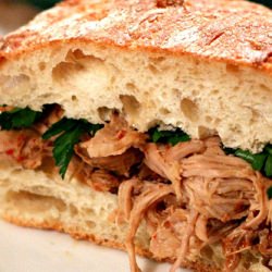 Carolina Barbecue Pulled Pork - Recipe photo by KateTDF