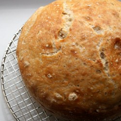Crusty White Peasant Loaf - Recipe photo by shivery