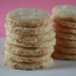 Coconut Butter Thins - Recipe photo by foodlibrarian