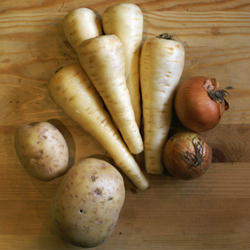Parsnip Soup - Recipe photo by justcookit