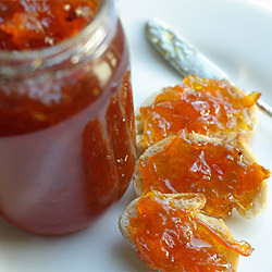 Homemade Kumquat Vanilla Marmalade - Recipe photo by LickMySpoon