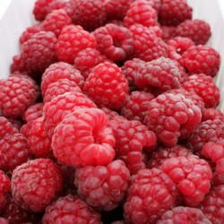 First time Picking Own Raspberries - Recipe photo by NotQuiteNigella