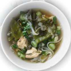 Asian Chicken Noodle Soup - Recipe photo by Anniepooh