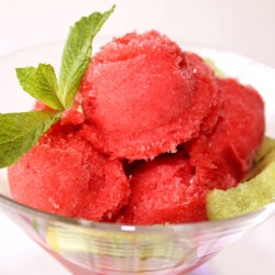 Fresh Strawberry Sorbet - Recipe photo by snwan