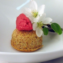 Almond Cake w/Hibiscus Sorbet - Recipe photo by Gfron1