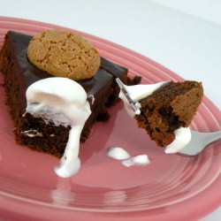 Chocolate Amaretti Cake - Recipe photo by hornedfroggy