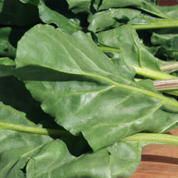 Soup of Wild Greens with Gnocchi - Recipe photo by lisal