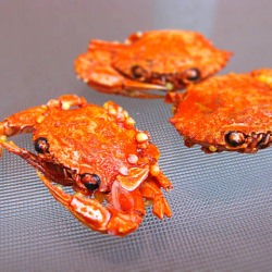 Tiny Asian Crab Snacks - Recipe photo by chinolam
