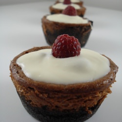 Raspberry Chocolate Cheesecakes - Recipe photo by liz2024