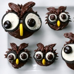 Owl Cupcakes - Recipe photo by annieseats