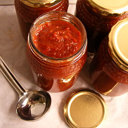 Easy Home-Made Tomato Ketchup - Recipe photo by Juno