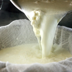 Homemade Ricotta Cheese - Recipe photo by lisamichele