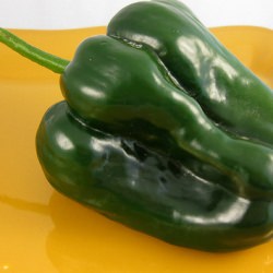 Qué Viva Mexico! - Recipe photo by FOODalogue
