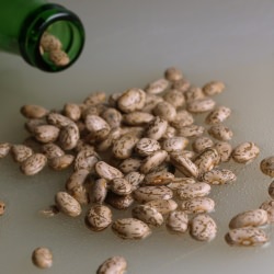 Drunken Beans (Frijoles Borrachos) - Recipe photo by aloadofbeans
