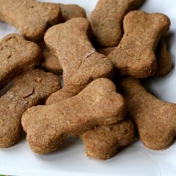 Dog Treats - Recipe photo by annieseats