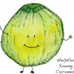 Coconut Water Code - Recipe photo by LunchboxBunch