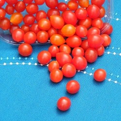 Tomberries – a Tasty, Tiny Tomato - Recipe photo by Sherrie