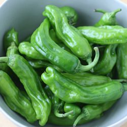 Japanese Shishito Peppers - Recipe photo by foodlibrarian