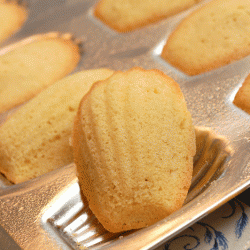 Coconut Madeleines - Recipe photo by Sugar and Spice