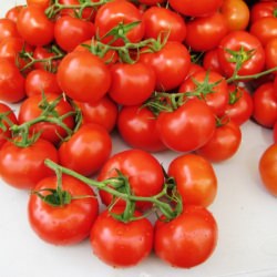 Farmer's Market - Recipe photo by mangotomato