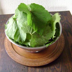 From Grape Vine to Brine - Recipe photo by The Crispy Cook