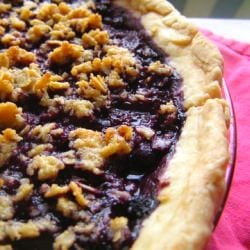 Blueberry Crumble Pie - Recipe photo by stolenmoments