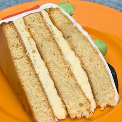 Vanilla & Lemon Cheese Cake - Recipe photo by Coffee and Vanilla