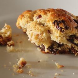 Chocolate Cherry Scones - Recipe photo by madisonbistro