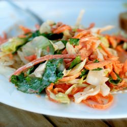 Spicy Summer Coleslaw - Recipe photo by florimell1919