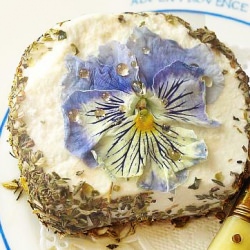 Pretty Goat Cheese~ - Recipe photo by fcottage