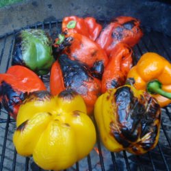 Creamy Roasted Pepper Soup - Recipe photo by Biz319