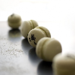 Matcha Macarons - Recipe photo by Y