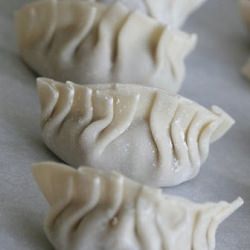 Pork Dumplings - Recipe photo by alaunamakes