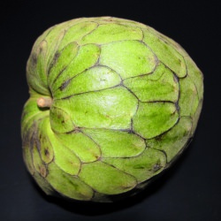 Cherimoya - Recipe photo by me_hungry