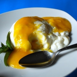 Buttermilk Panna Cotta - Recipe photo by RedGwen
