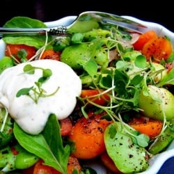 Fava, French Carrot and Arugula - Recipe photo by EdibleAria