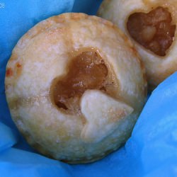 Apple Hand Pies - Recipe photo by MamaBear