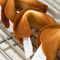 Fortune Cookies - Recipe photo by eastvillagekitchen