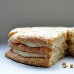 Non Traditional Vacherin - Recipe photo by wardroa