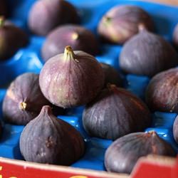 Fig and Walnut Risotto - Recipe photo by scarletvirago