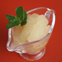 Mojito Sorbet - Recipe photo by abbie