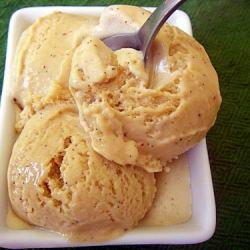 Cacao Nib Gelato - Recipe photo by pinkstripes