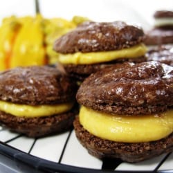 Macarons - Recipe photo by fahrenheit350