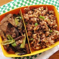 Seitan Bulgogi Doshirak - Recipe photo by lobugast