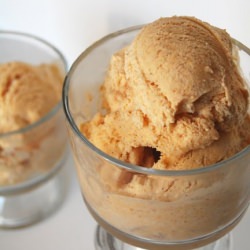 Homemade Pumpkin Ice Cream - Recipe photo by please pass the pie