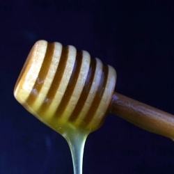 Olive Oil Honey - Recipe photo by madridlab